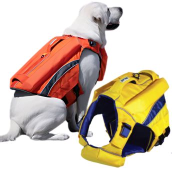 Dog life jacket for boating and water activities
