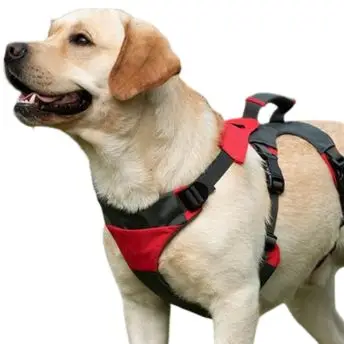 Dog harnesses and leashes at JUPdog