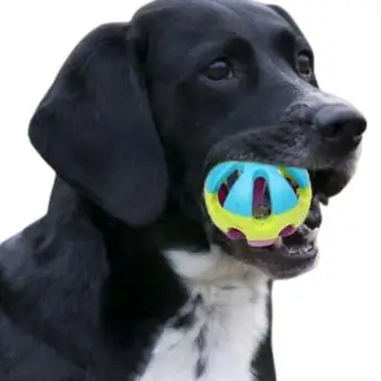 Fun dog toys at JUPdog