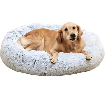 Comfortable dog beds and crate mats at JUPdog