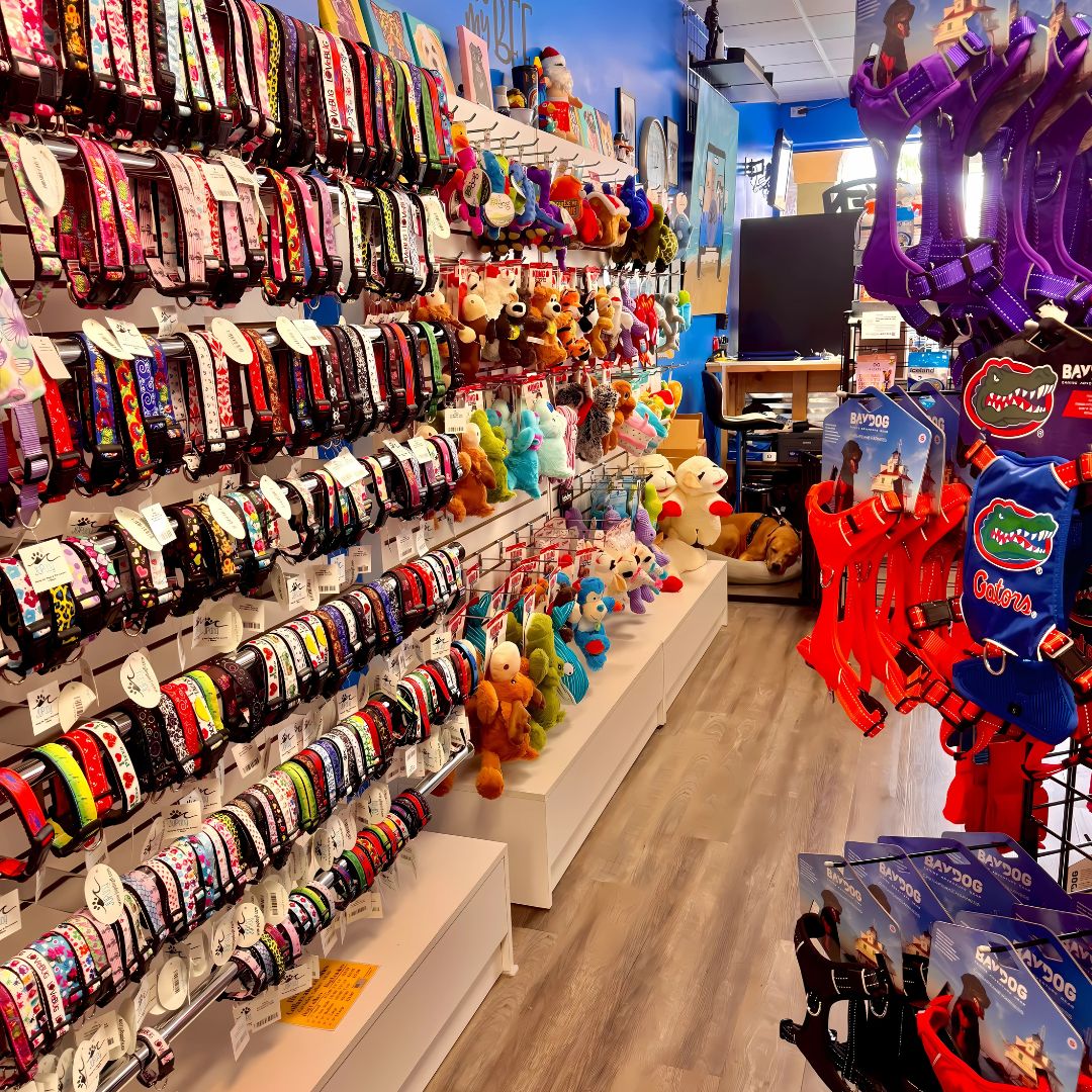 Dog collars, harnesses, leashes and accessories at JUPdog